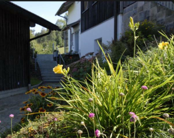 Ferienwohnung LICHTECK - Helle Ferien Breitenberg  Exterior foto